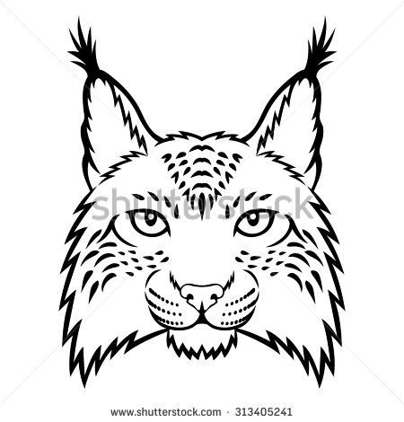 450x470 How To Draw A Cartoon Bobcat How To Draw For Children Drawings