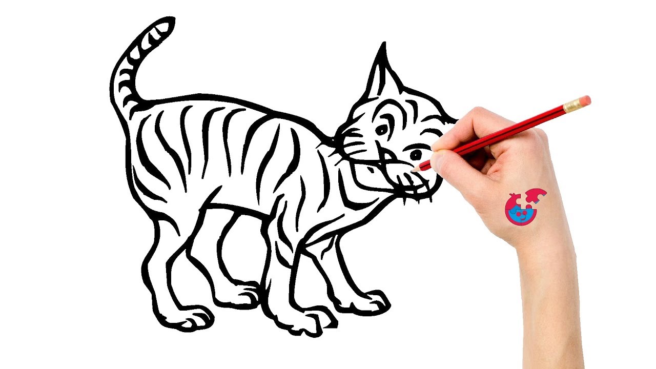 1280x720 How To Draw Animals Bobcat