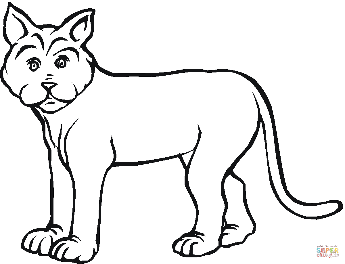 1200x918 bobcats drawing simple for free download