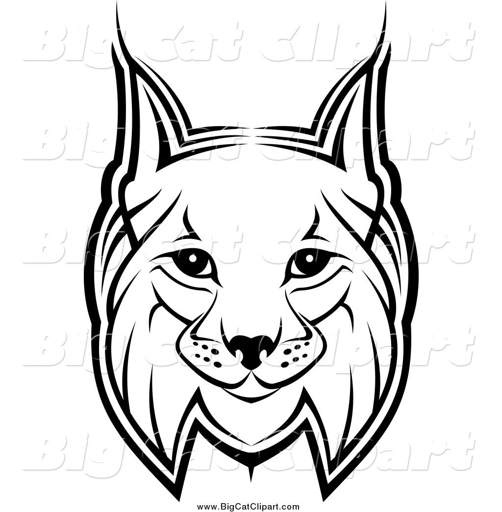 1024x1044 Cool Bobcat Drawing