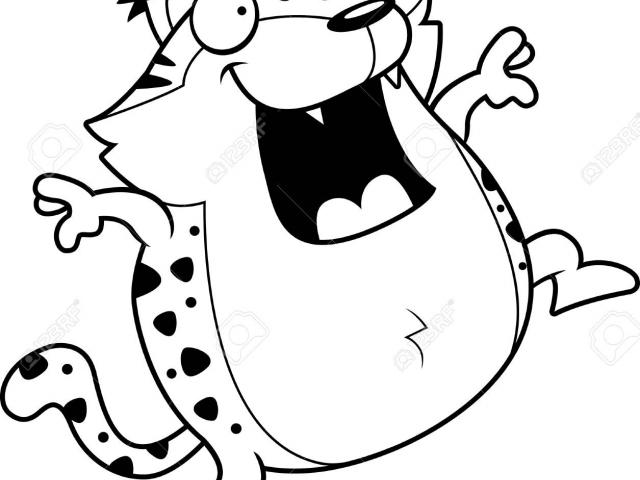 640x480 Bobcat Clipart Free Clip Art Stock Illustrations