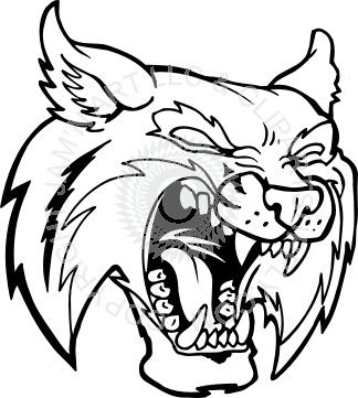 324x361 Collection Of Free Bobcat Vector Angry Download On Ui Ex