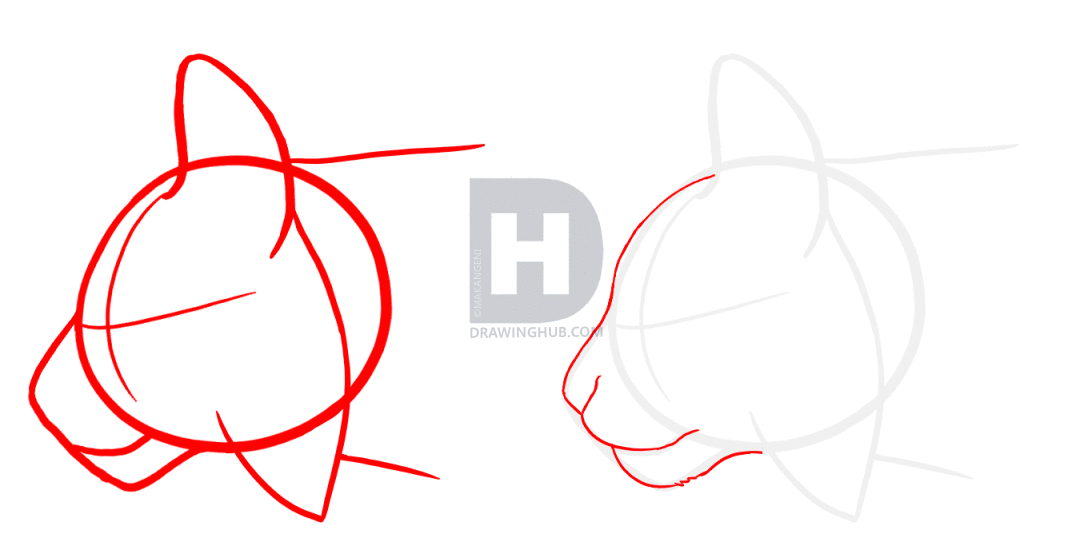 1080x534 how to draw bobcats, bobcat, step