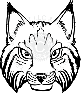 312x361 Wildcat Drawing Transparent Png Clipart Free Download