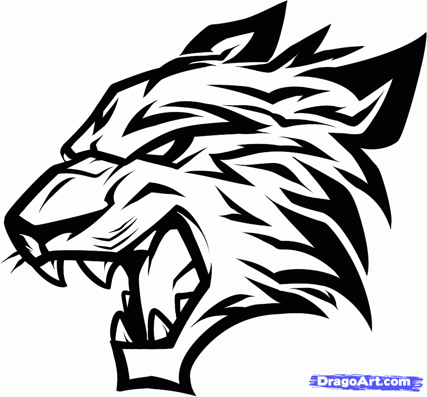 881x819 bobcats drawing panther for free download