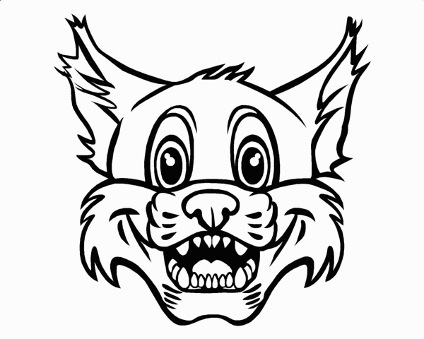 Bobcat Face Drawing | Free download on ClipArtMag