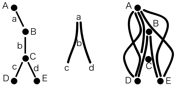 750x368 Drawing Geometric Tree Transparent Png Clipart Free Download