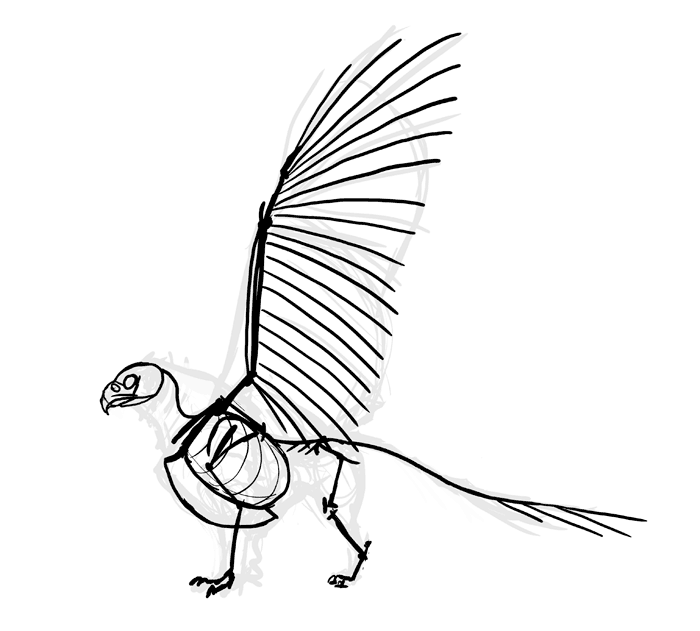 700x631 How To Draw A Griffin