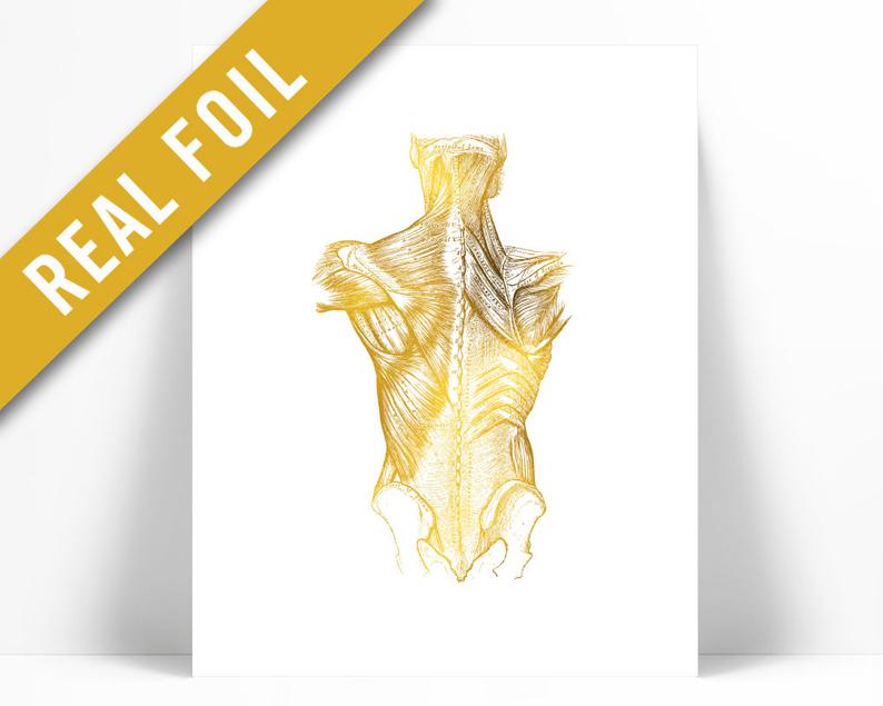 794x635 Human Body Anatomical Gold Foil Art Print Anatomy Wall Art Etsy