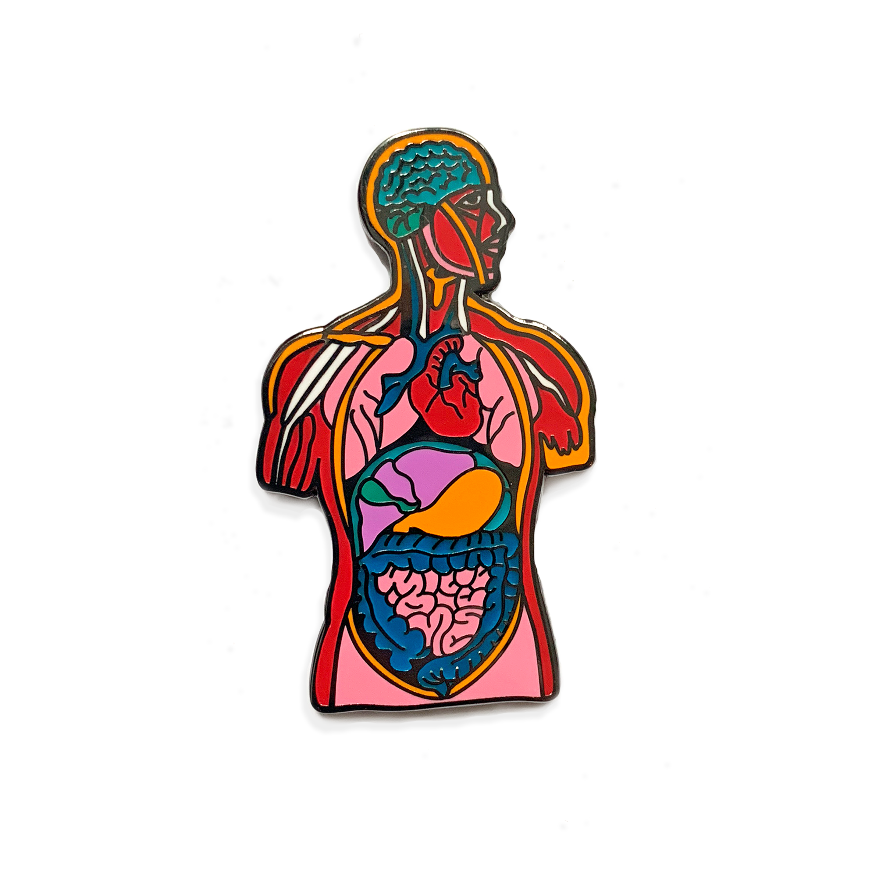 2897x2885 Body Anatomy Pin