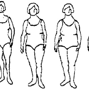 310x310 Figure Drawing Used To Assess Body Fatness