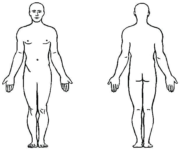618x515 Human Body Outlines Outline Template Girl Body Drawing Pictures