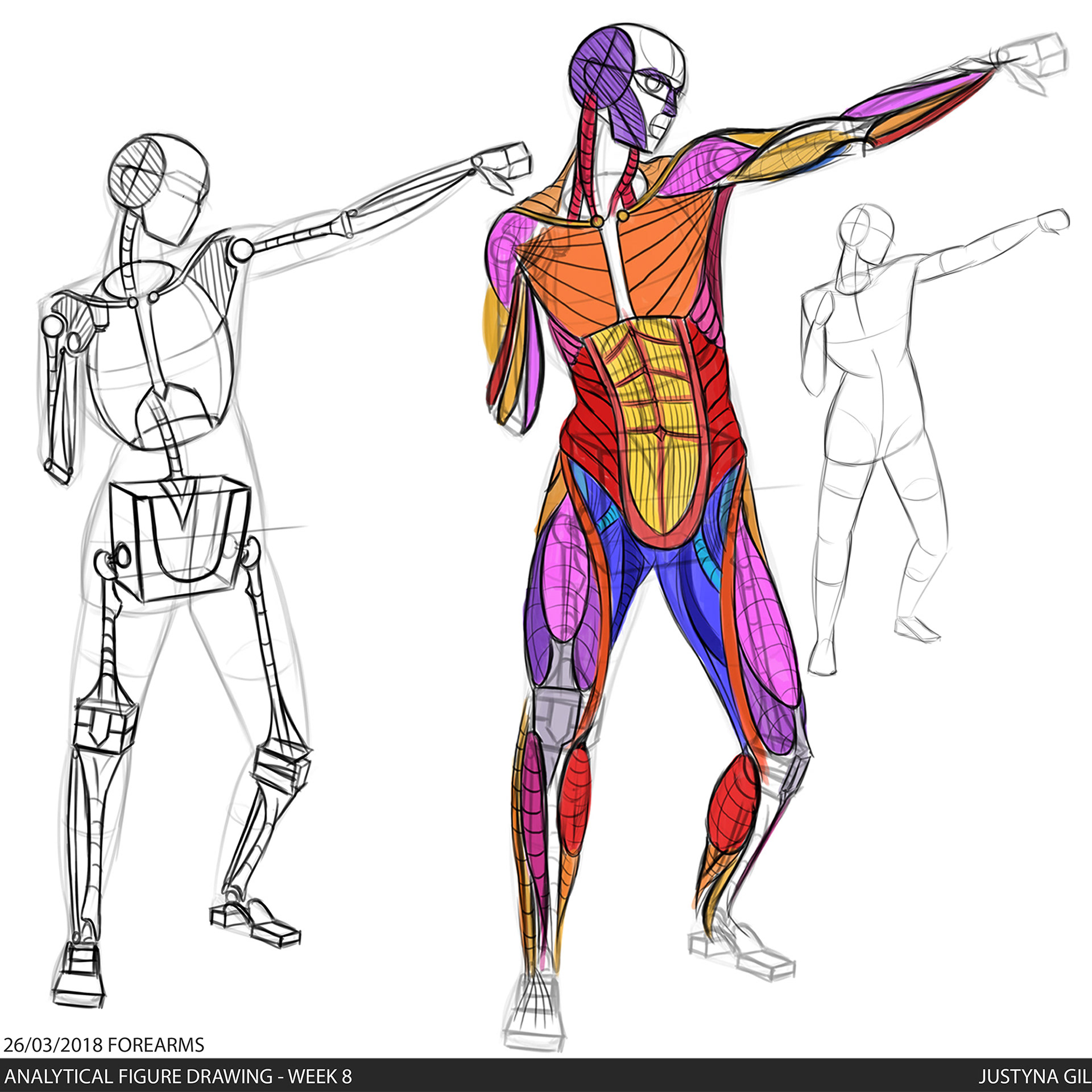 Body Figure Drawing | Free download on ClipArtMag