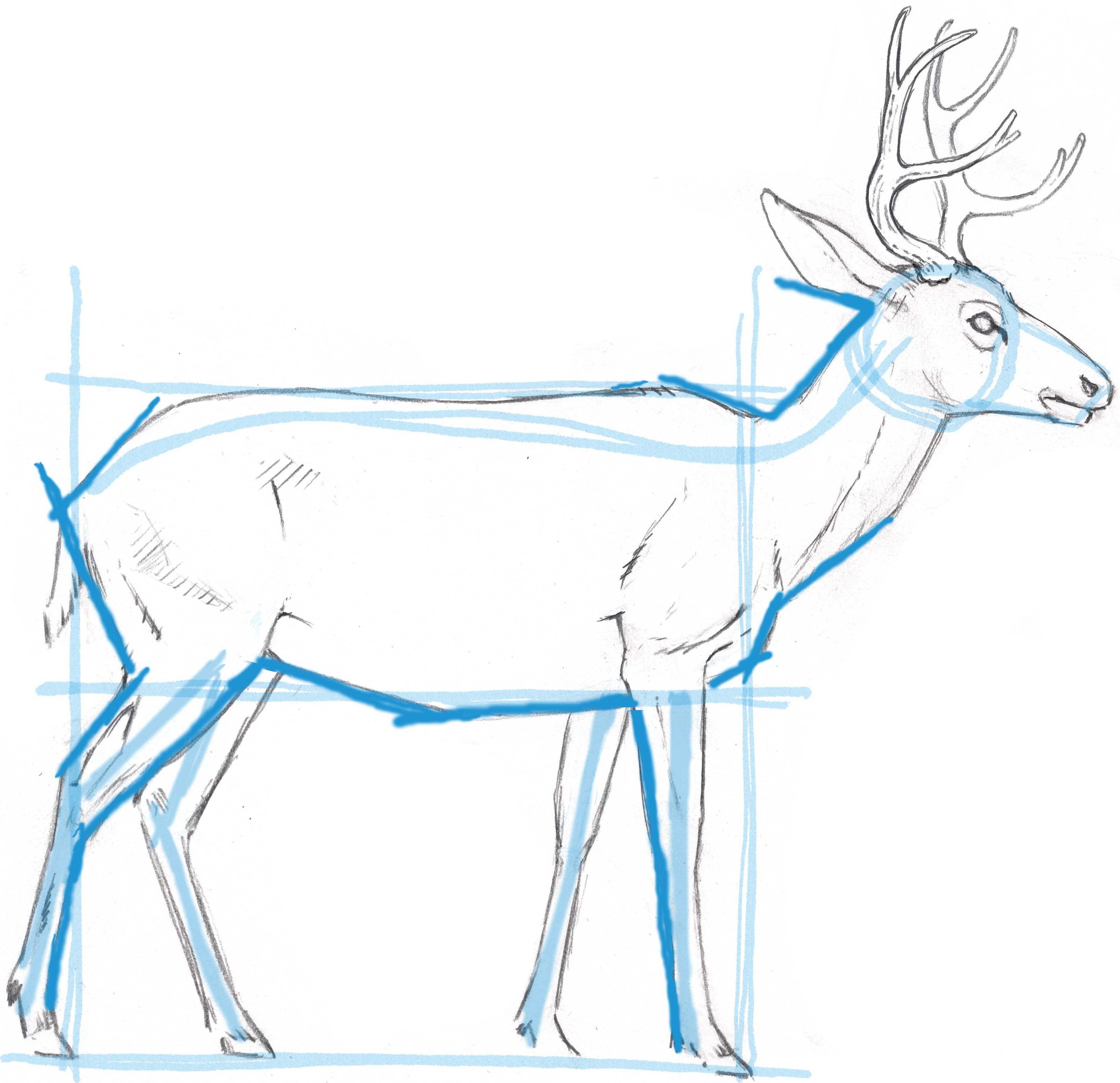 3251x3145 here we see the form of the body starting to take shape due