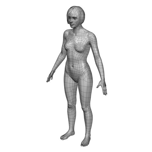 500x500 Cad Human Body Basic Casual Female Model