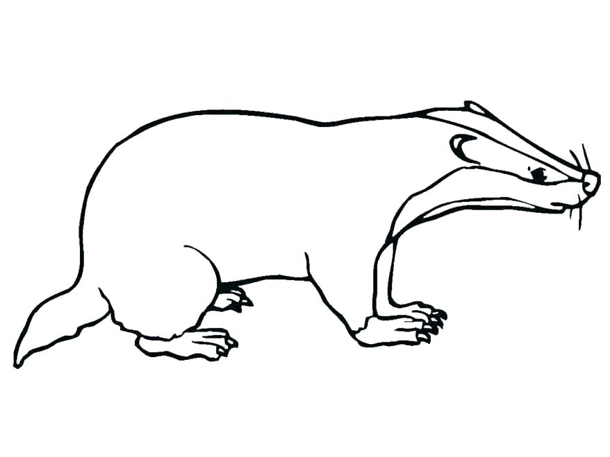 878x659 Body Outline Coloring