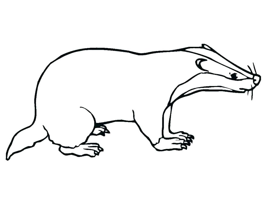 878x659 Human Body Drawing Outline At Free For Personal Outline