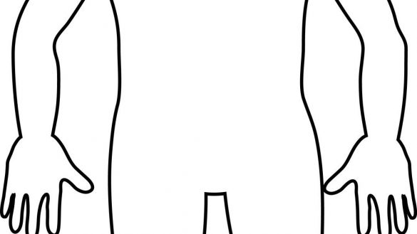 585x329 Kid Body Outline Clipart