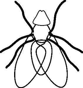 282x299 Human Body Parts Vector Illustration In Line Art Style