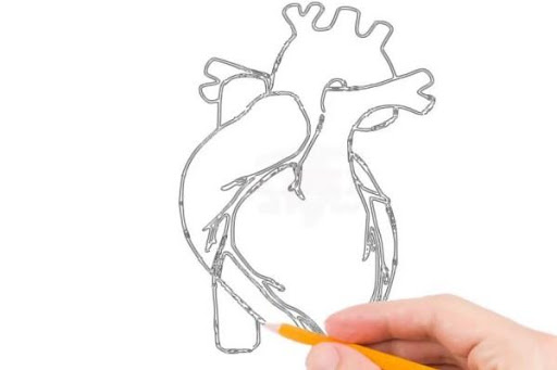 512x341 Drawing Body Parts Apk