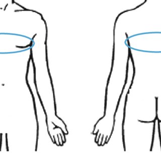 320x320 areas of the upper body parts for the sensor placement of our