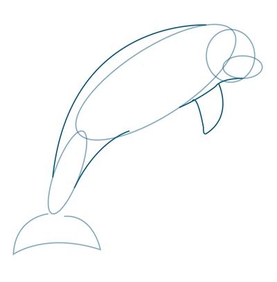 400x408 How To Draw A Dolphin