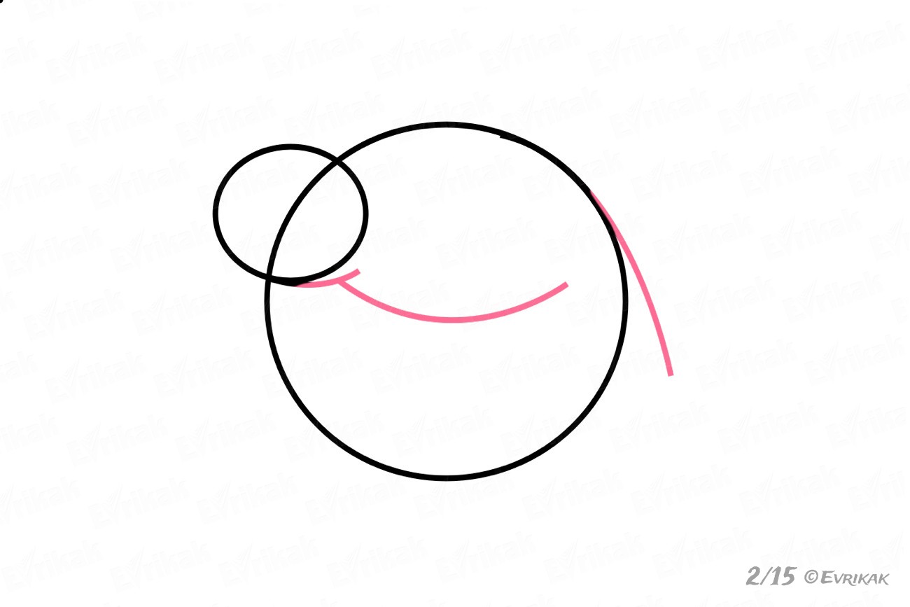 1300x867 Learning How To Draw A Chameleon Step