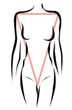 248x379 The Body Shapes