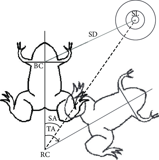 510x516 Parameters Used In The Present Study Bc Body Center Rc