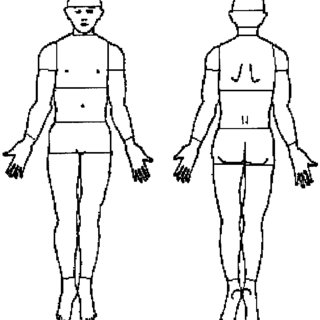 320x320 Body Drawing Used To Elicit Pain Localization In This Study