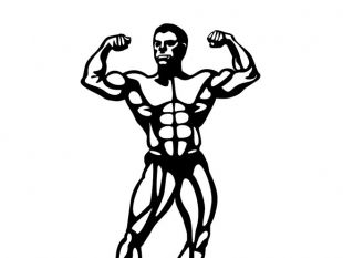 310x233 Bodybuilder Vector Image Free Vectors Ui Download