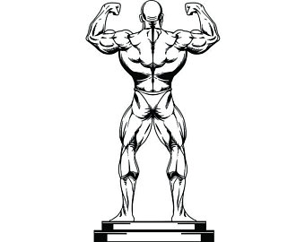 340x270 Bodybuilder Drawing Etsy