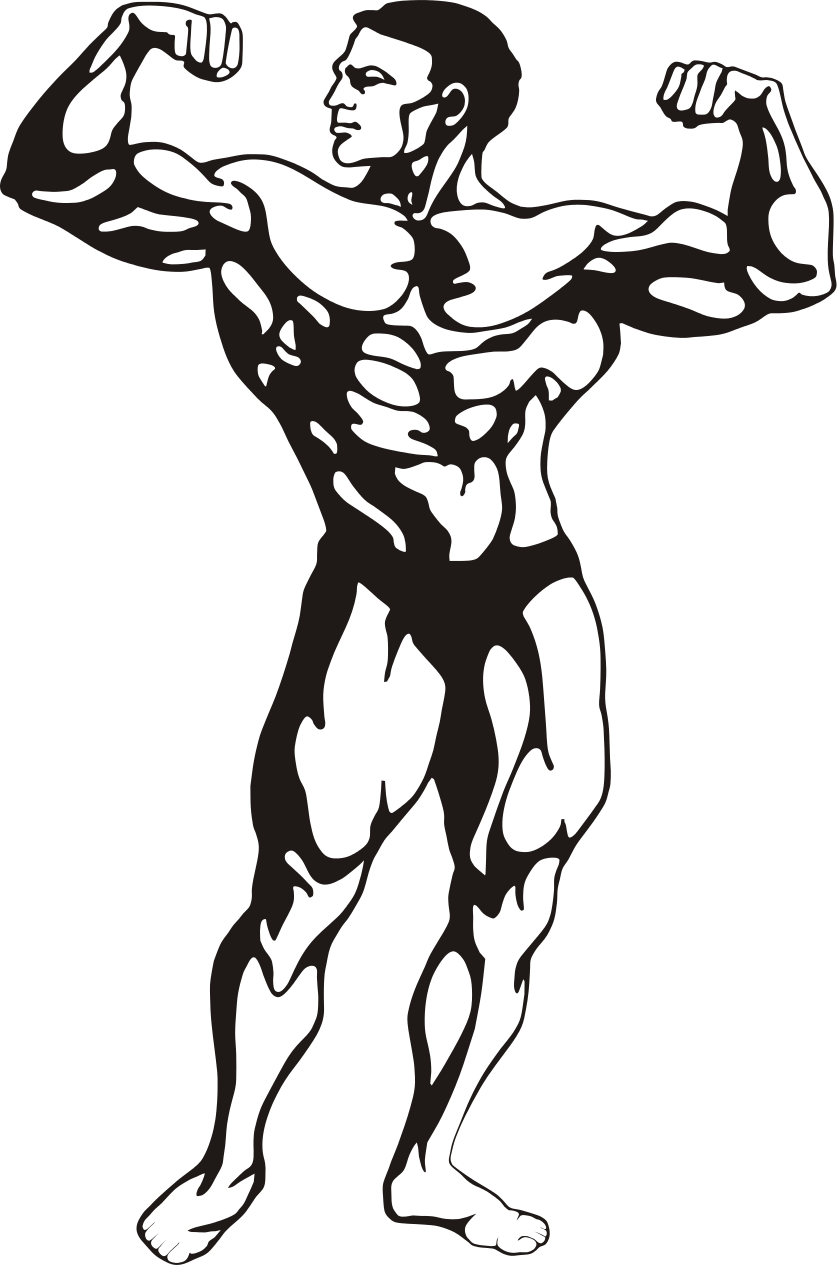 837x1265 Collection Of Free Bodybuilder Vector Drawn Download On Ui Ex