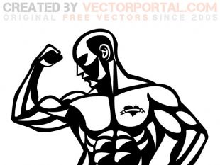 310x233 Bodybuilder Vector Drawing Free Vectors Ui Download