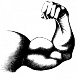 250x255 biceps drawing bodybuilding, picture