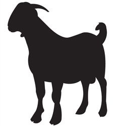 250x250 Boer Goat Outline