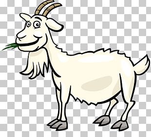 310x281 Boer Goat Sheep Cartoon Png, Clipart, Camel Like Mammal, Cattle