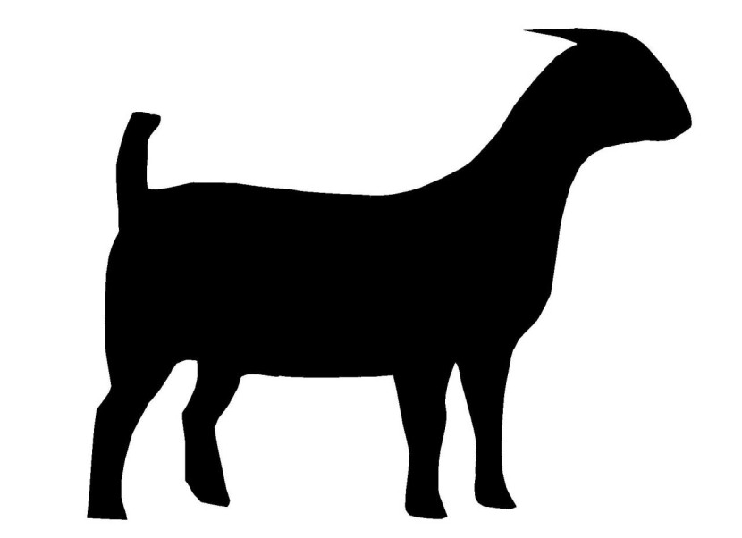 830x602 Boer Goat Clip Art