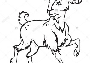 300x210 goat cartoon drawing boer goat clip art images of drawing goat