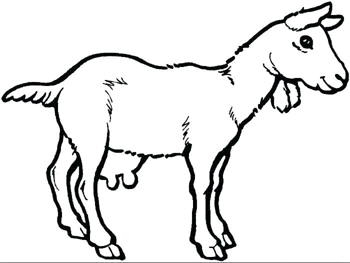 700x526 Goat Coloring Pages Three Billy Goats Gruff Coloring Pages Three