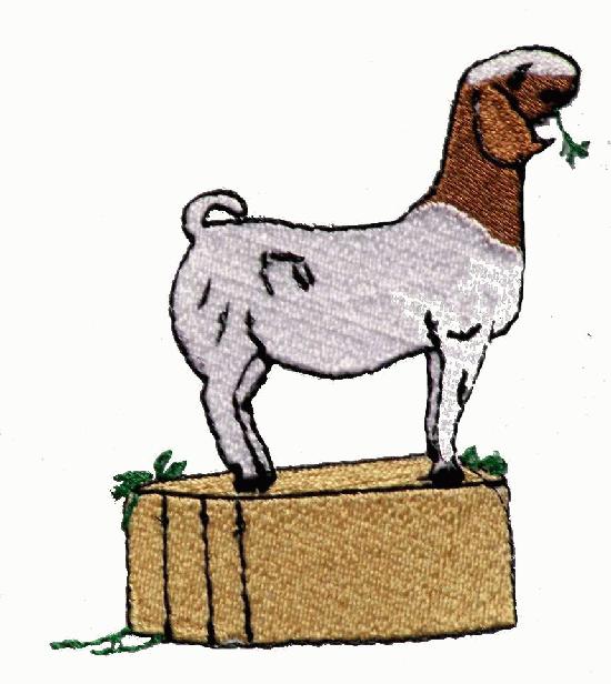 550x616 Boer Goat Clip Art