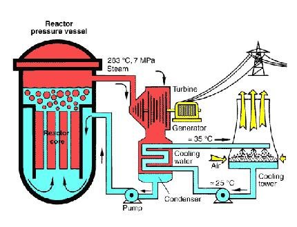 430x329 typical boiling water reactor power plant