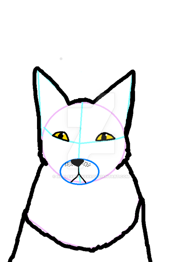 600x863 Fluffy Bombay Cat Sketch Lineart