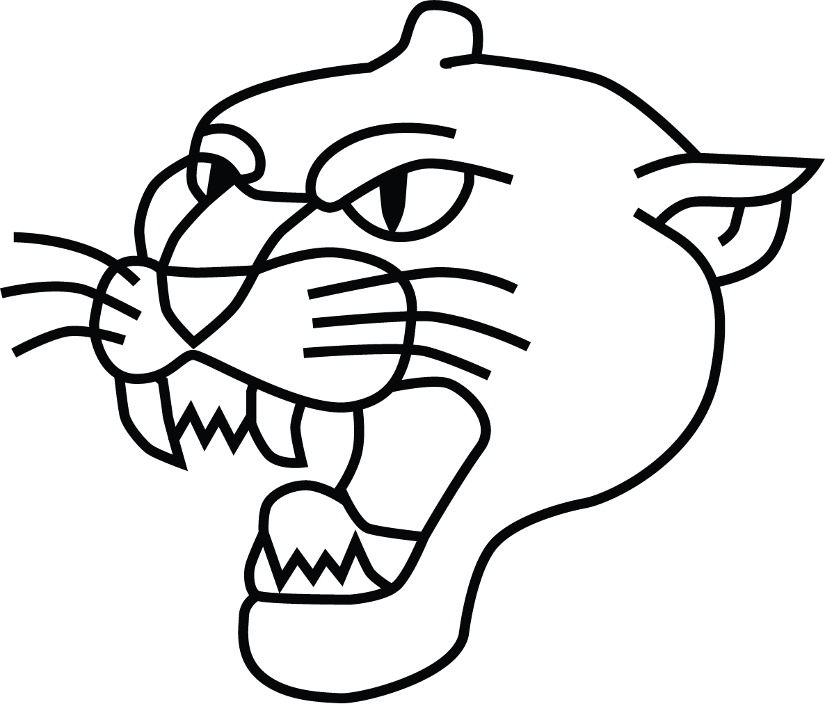 1186x1012 Panther Bomber Jacket Thread Break