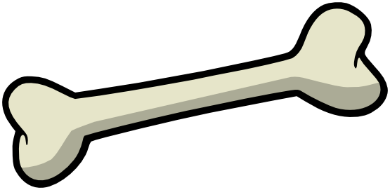 555x271 Bone Drawing Transparent Png