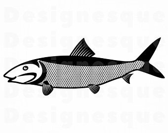 340x270 Bonefish Etsy