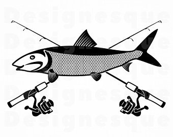 340x270 bonefish etsy