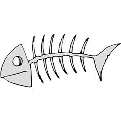 236x236 best fish skeletons images fish skeleton, pisces, fish