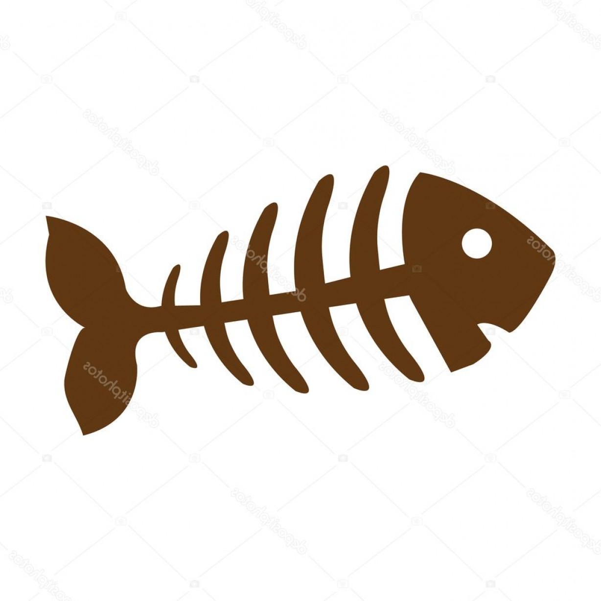 1228x1228 stock illustration fish bone fish skeleton brown soidergi