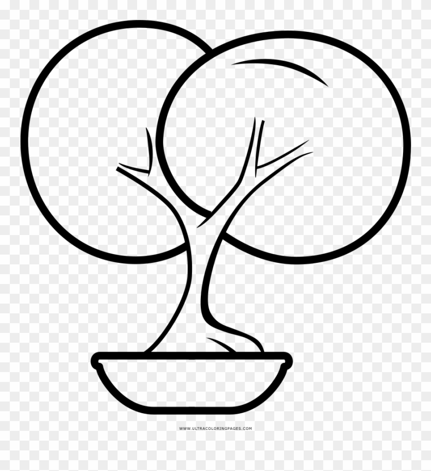 880x962 bonsai tree coloring page